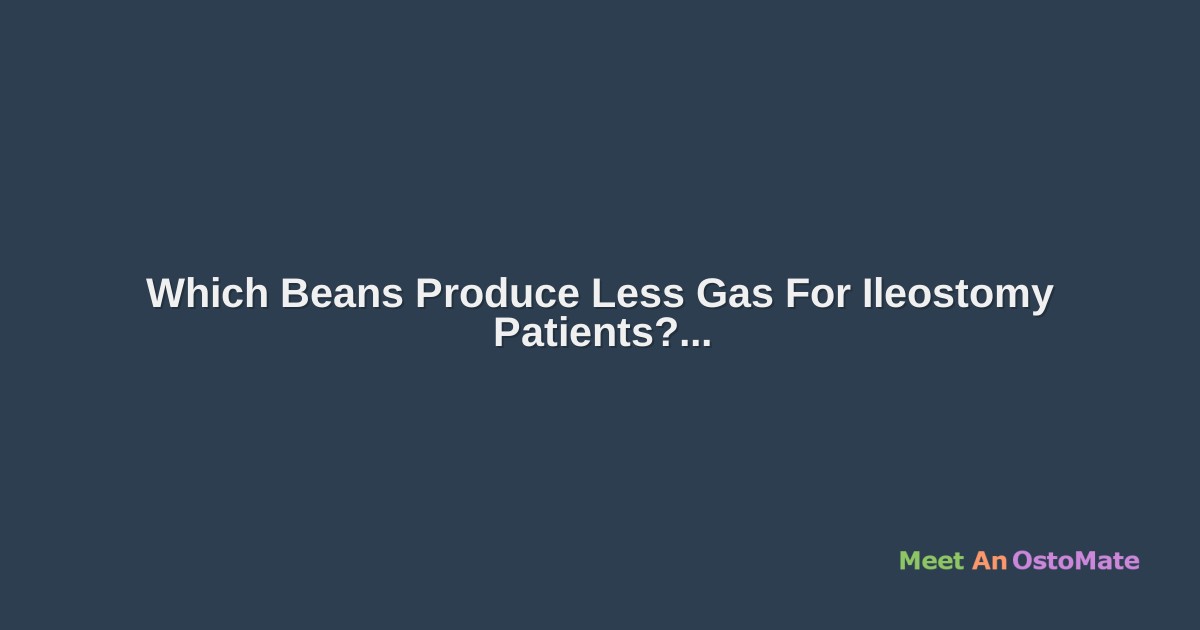 Which Beans Produce Less Gas For Ileostomy Patients?
