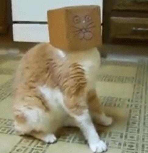  width=