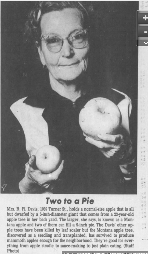  /></p><p>Grandma made everything from apple pandowdy to apple butter with those apples - all scrumptious!</p><p>Lily17</p>
						</div>
					</div>
                    <div class=